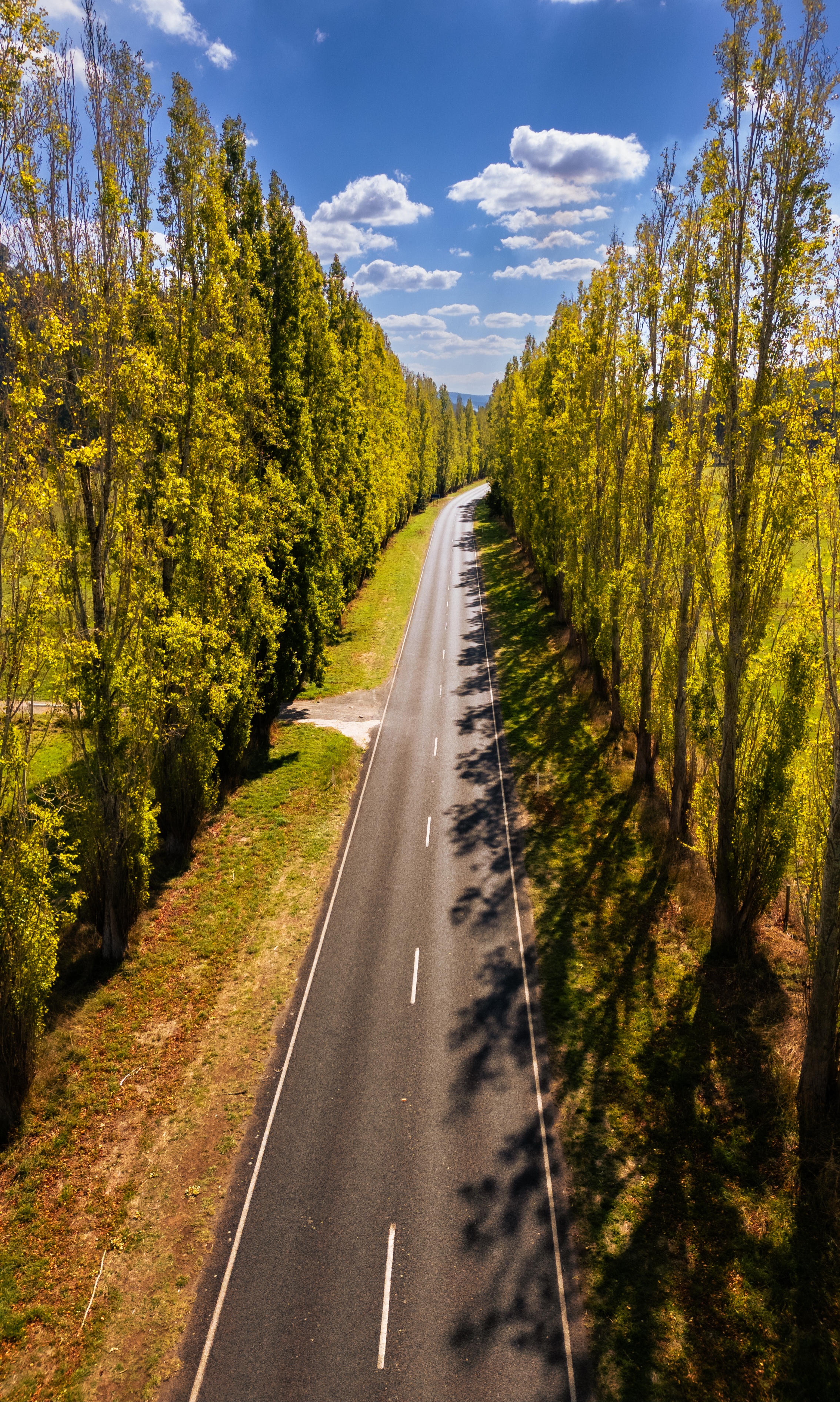 Portrait of Hiking Lady