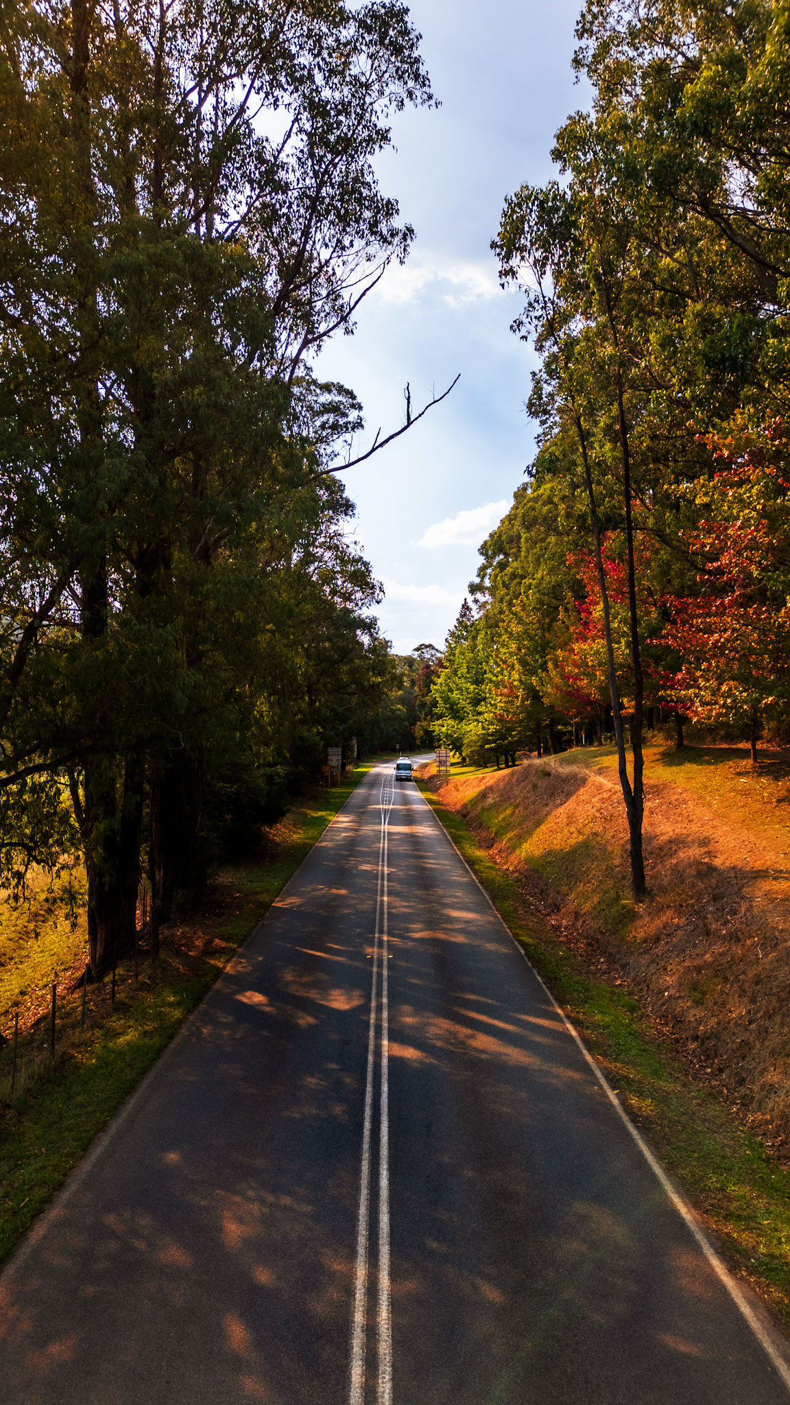 Portrait of Hiking Lady