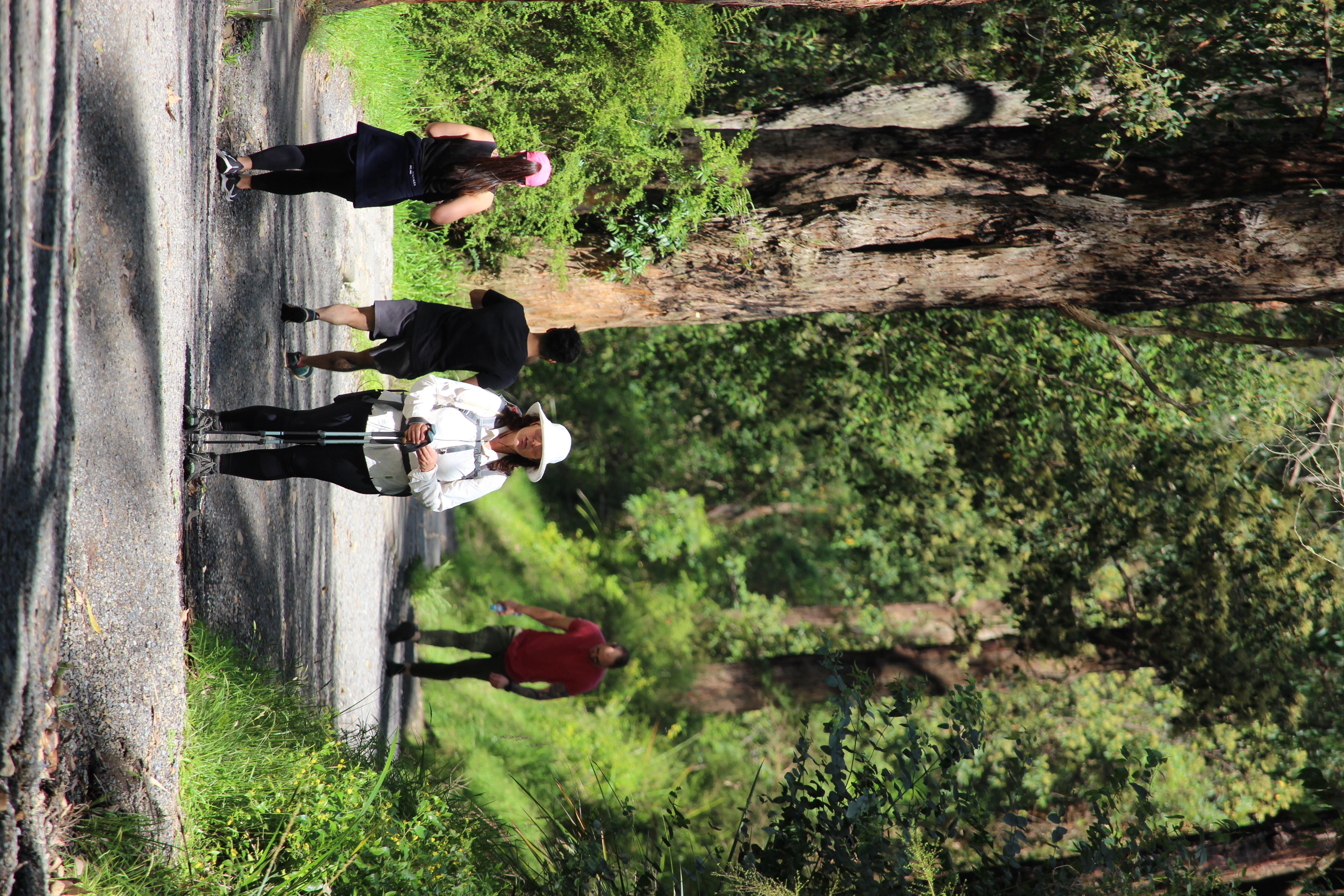 Portrait of Hiking Lady