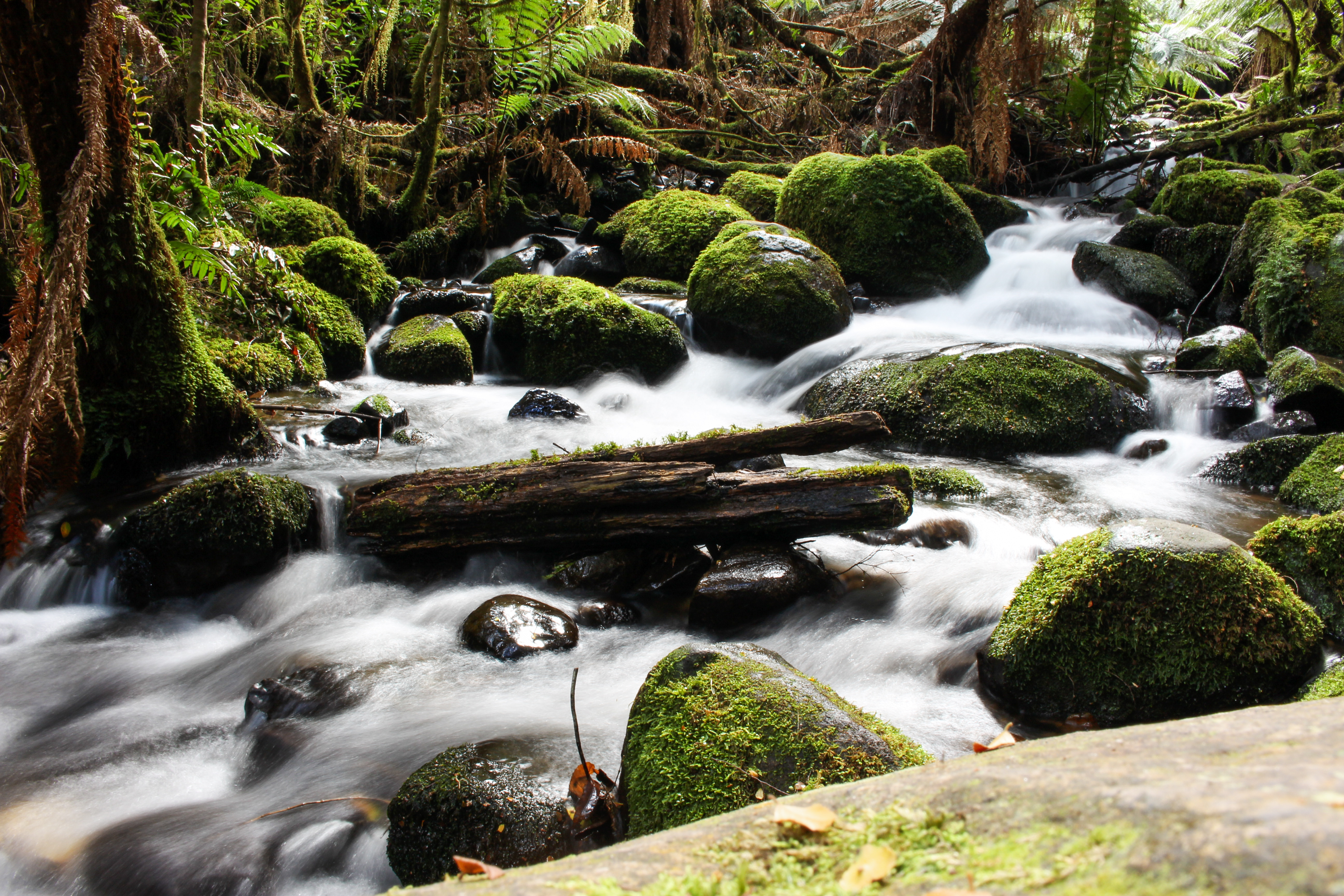 Long Exposure of water-flow